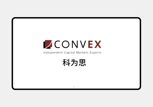 Branding Package Example: ConvEx Brand Naming