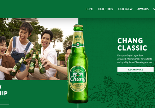 Web Design Package Example: Chang Web Development