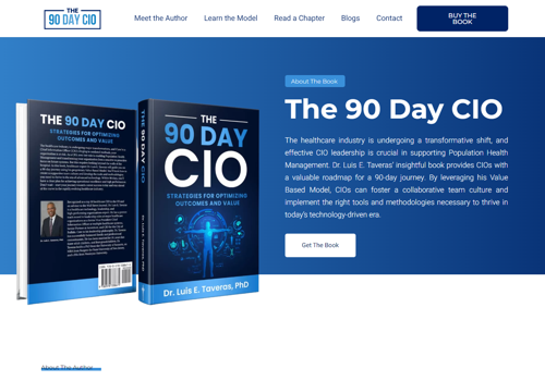 Web Design Package Example: The 90 Day CIO