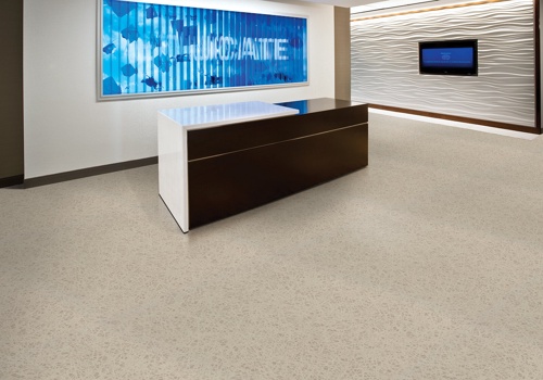 E-Commerce Development Package Example: Squarespace to Shopify Transformation