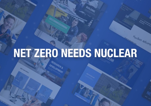 Web Design Package Example: Net Zero Needs Nuclear
