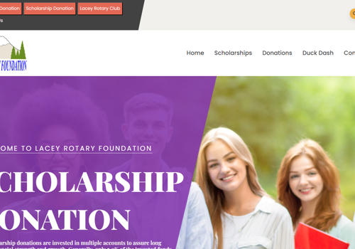 Web Design Package Example: Non Profit Organization Website Development