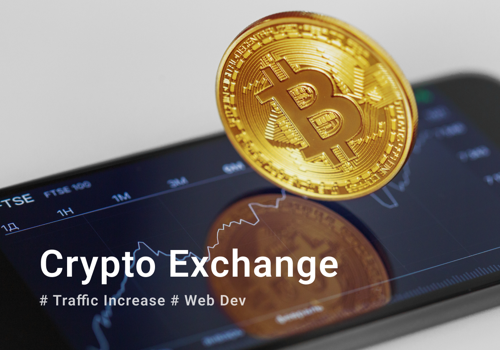 Blockchain Marketing Package Example: Traffic Increase | Web Dev Crypto Exchange