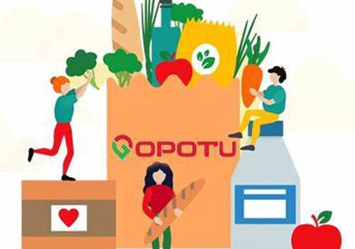 Custom Software Development Package Example: Gopotu Development Team