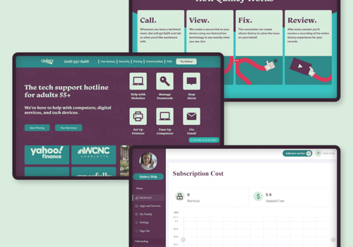 Custom Software Development Package Example: Go Go Quincy