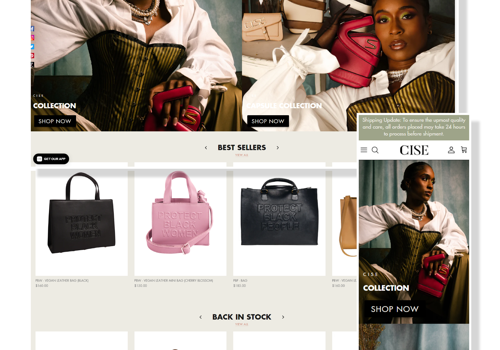 E-Commerce Development Package Example: Custom Shopify Theme