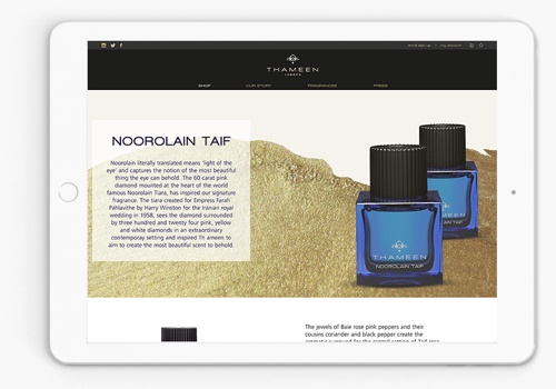 Web Development Package Example: Thameen needed a digital overhaul for global boost