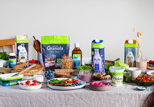 Web Development Package Example: Berit™