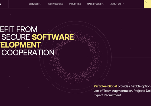 Web Development Package Example: Particles - IT Services and Recruitment Solutions