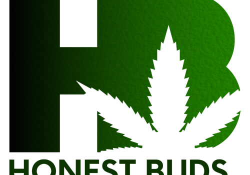 Branding Package Example: New Brand for New Ideas