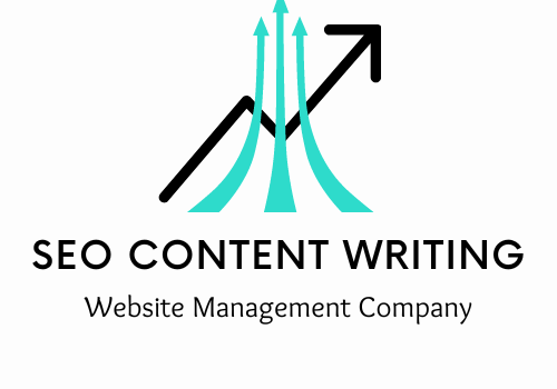 Marketing Strategy Package Example: SEO Content Writing for Website Management Company