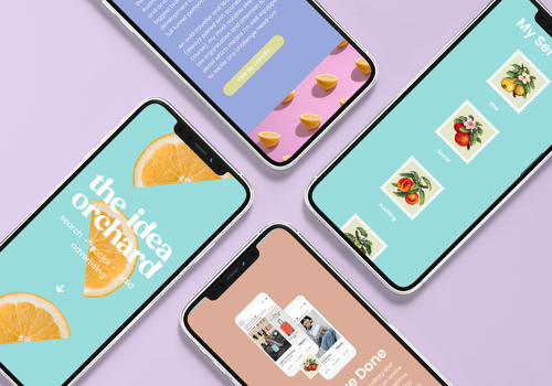 Web Design Package Example: The Idea Orchard Marketing