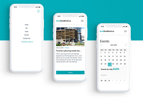 Web Development Package Example: Individual Website for a Public Figure