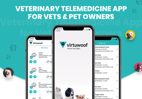 Mobile App Development Package Example: Top Veterinary Telemedicine App