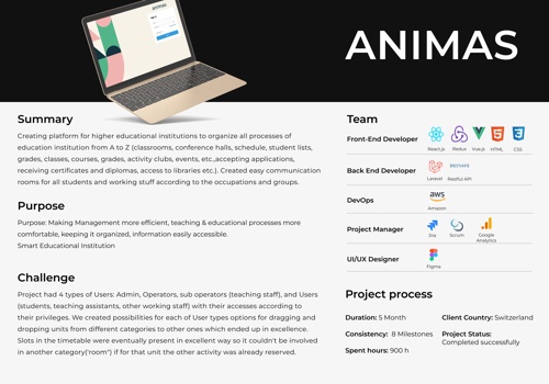 Web Design Package Example: Animas