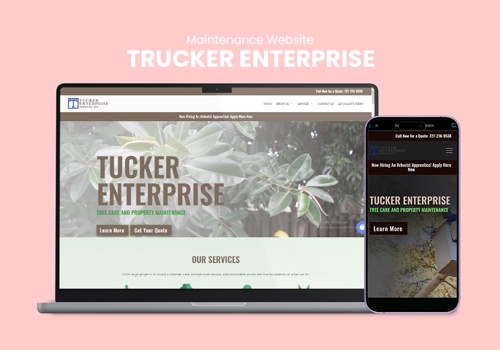 Custom Software Development Package Example: Tucker: Digital Evolution & App Mastery
