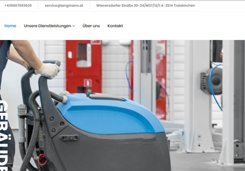 Search Engine Optimization Package Example: Lang Mann