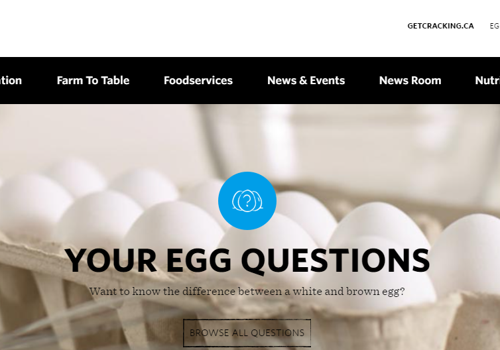 Web Development Package Example: GET CRACKING®. Egg Farmers of Ontario