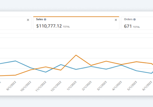 Digital Strategy Package Example: 5.5x Sales Growth Leads to Top-10 Ranking Success