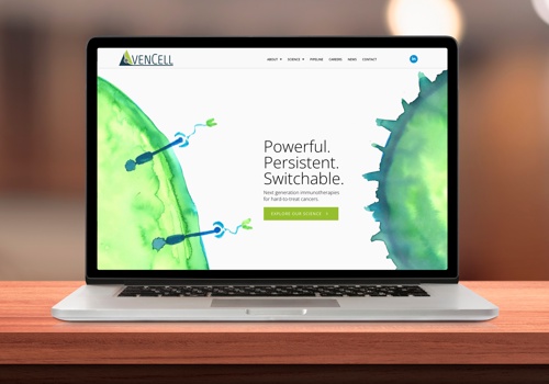 Web Design Package Example: Website Design for Global Therapeutics Firm