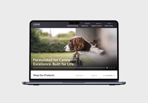 Branding Package Example: A Strategic Brand Launch for Canine Vitality