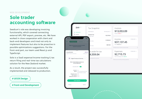 Custom Software Development Package Example: Solo Accounting