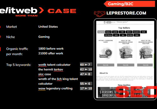 Search Engine Optimization Package Example: SMM, SEO, & PPC Promotion of Leprestore