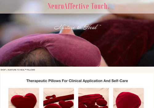 Web Development Package Example: WordPress eCommerce Theme for Coaches