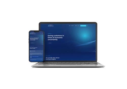Web Design Package Example: Amplify Analytix