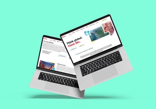 Web Development Package Example: BIG Language Solutions Website