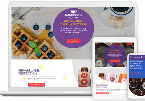 E-Commerce Development Package Example: Magento eCommerce Development Services | Paramount