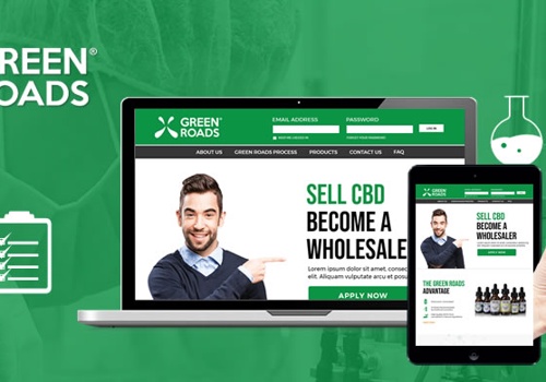 E-Commerce Development Package Example: Magento 2 Commerce Store Development for Top CBD