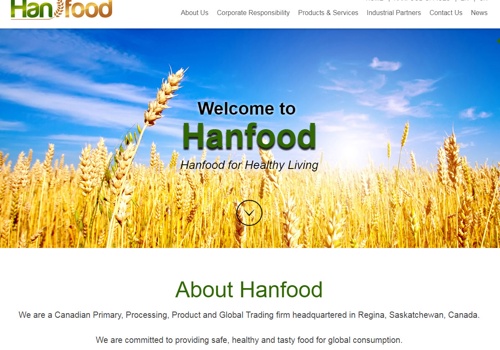 Web Design Package Example: Hanfood