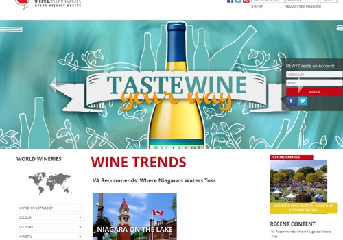 Web Design Package Example: Vine Advisor