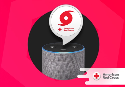 Mobile App Development Package Example: American Red Cross - Hurricane Alexa Skill
