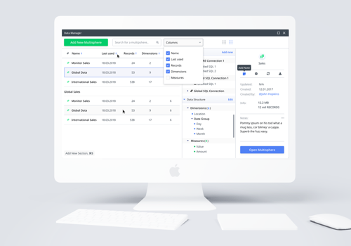 UX/UI Design Package Example: Olap Database