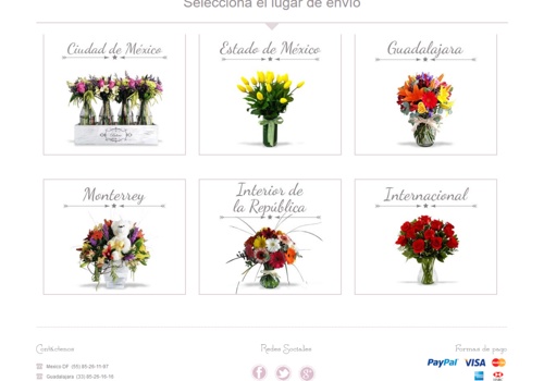 E-Commerce Development Package Example: FLORINET