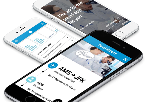Mobile App Development Package Example: Enterprise Travel Application