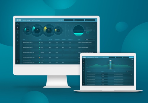 Web Development Package Example: Big Data Management System