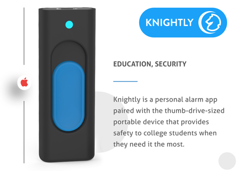 Custom Software Development Package Example: Knightly