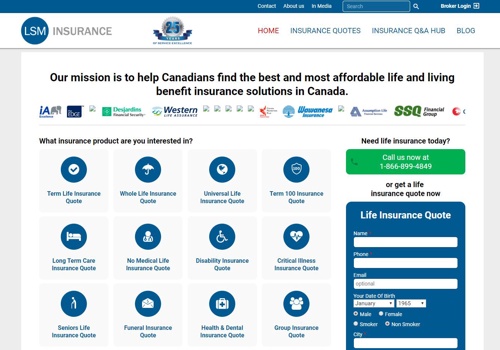 Web Development Package Example: LSM Insurance