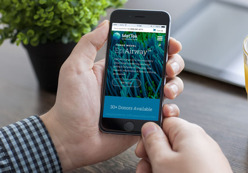 Web Design Package Example: MATTEK Project