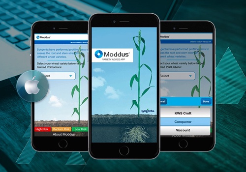 Mobile App Development Package Example: Moddus Variety Advice