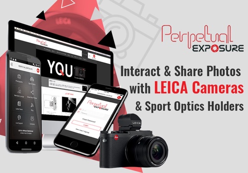 Mobile App Development Package Example: Perpetual Exposure