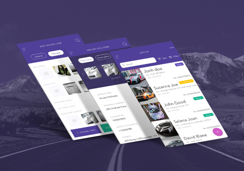 Mobile App Development Package Example: Car insurance & repair CRM