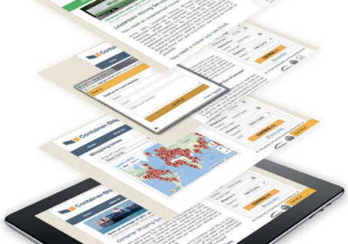 Custom Software Development Package Example: Container Shipping