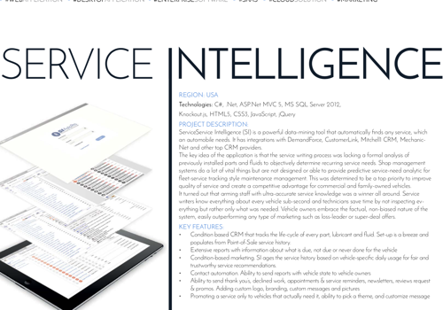Custom Software Development Package Example: Service Intelligence