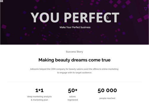 Market Research Package Example: Project with Youperfect, SaaS IT industry