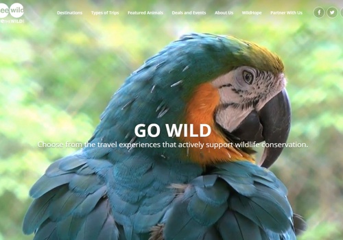 Web Design Package Example: SEEtheWILD