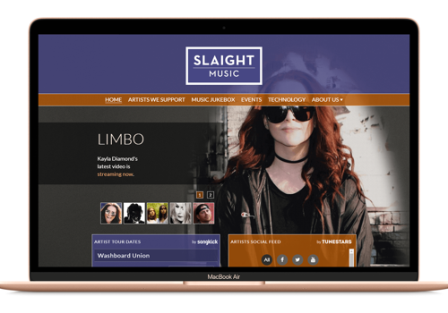 IT Strategy Consulting Package Example: SlaightMusic